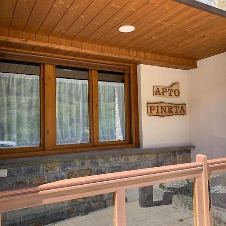 Apartamento Pineta Bielsa Exteriér fotografie